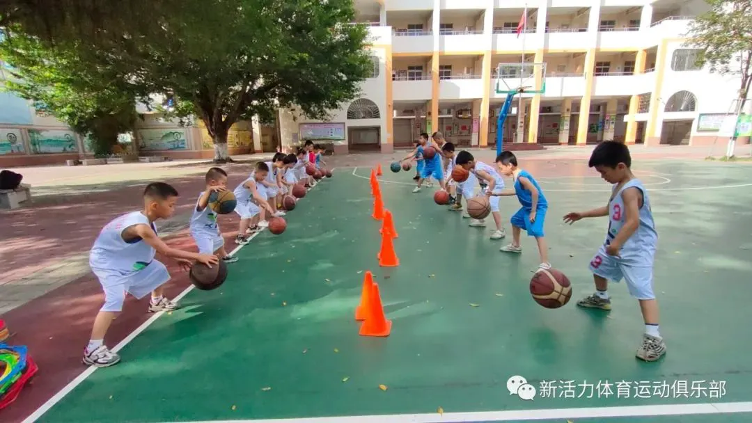 篮球训练法读后感怎么写_0